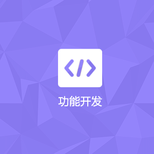 网站功能定制开发